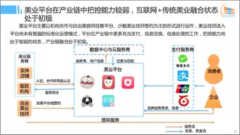 2016年中国互联网本地服务竞争格局研究报告